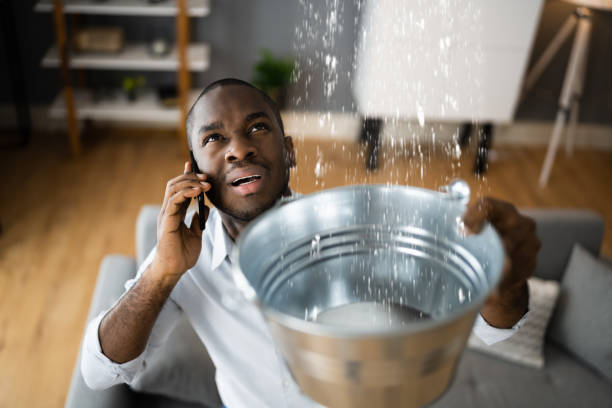  Tarboro, NC Water damage restoration Pros