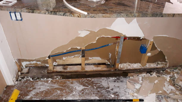 Best Flood damage cleanup  in Tarboro, NC