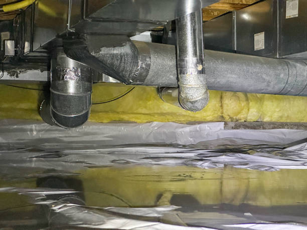 Best Ceiling water damage repair  in Tarboro, NC
